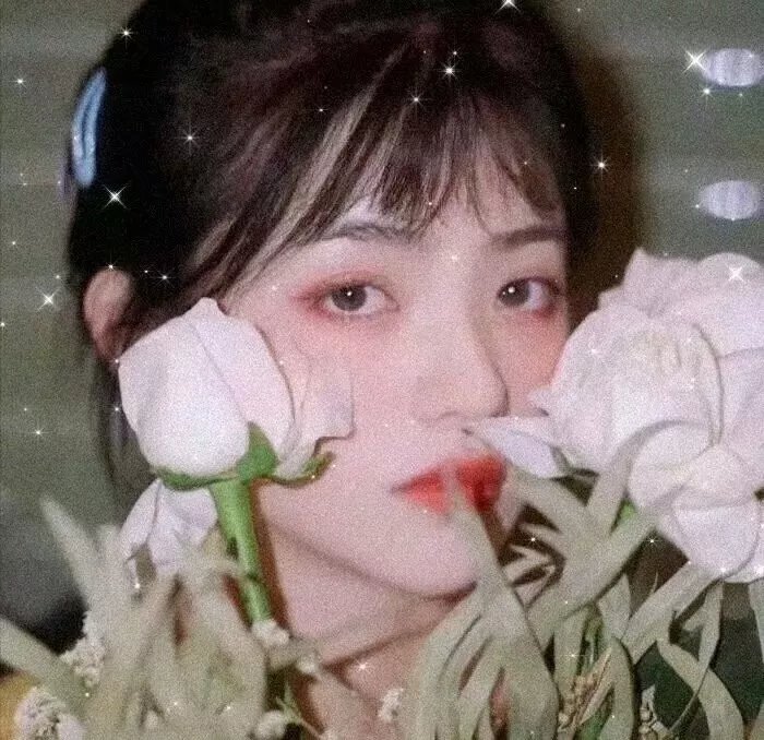 我和我的朋友们